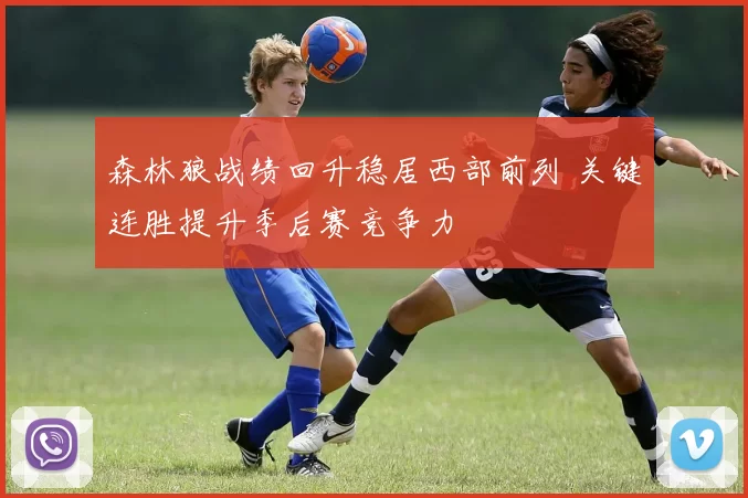 森林狼战绩回升稳居西部前列 关键连胜提升季后赛竞争力