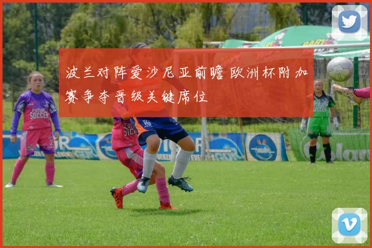 波兰对阵爱沙尼亚前瞻 欧洲杯附加赛争夺晋级关键席位